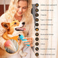 YABIFE 4-Lights Dog Nail Grinder, Easy Quick Locate Dog Nail Trimmers, for Puppy Paw Toenails or Pets from Small, Medium to Large, with Travel Lock, Whisper Quiet, Heavy Duty 3 Speeds
