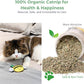 Eco-Friendly Cat Gift Box – 7-Piece Set with Organic Catnip Toys, Feather Wand, Blanket & Pop-Up Cat Cave for Indoor Cats and Kittens