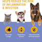Cough Support for Dogs & Cats, Dry and Wet, Respiratory & Cold, Made in USA, 2oz