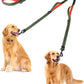PetBonus Double Dog Leash, No Tangle Dual Leash, Reflective Walking Training Lead, 4 Comfortable Padded Handles for 2 Dogs with Collapsible Bowl and Waste Bags (Khaki Green, Large)