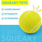 Prime Pets Tennis Balls for Dogs, 2.5 Inch Squeaky Dog Balls for Play & Fetch, Squeaky Tennis Balls for Medium, Large Dogs, Dog Toy Balls