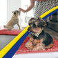 Muddy Mat® AS-SEEN-ON-TV Highly Absorbent Microfiber Door Mat and Pet Rug, Non Slip Thick Washable Area and Bath Mat Soft Chenille for Kitchen Bathroom Bedroom Indoor and Outdoor - Red 24" x 72"