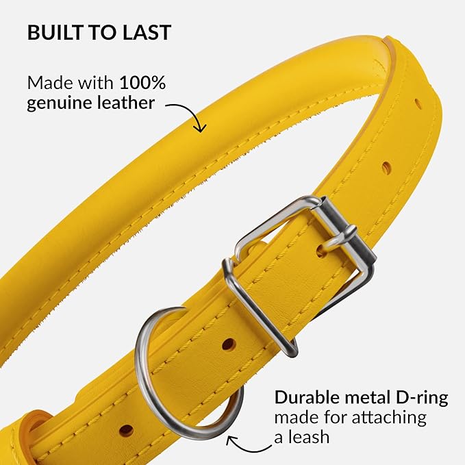 CollarDirect Rolled Leather Dog Collar, Soft Padded Round Puppy Collar, Handmade Genuine Leather Collar Dog Small Large Cat Collars 13 Colors (11-14 Inch, Yellow Smooth)