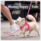 rabbitgoo Dog Harness Medium Sized and Leash Set, Step in Soft Light Puppy Vest, Breathable Mesh Pet Harness, Reflective for Safe Easy Walking, Rosa Red XXL