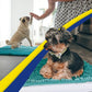 Muddy Mat® AS-SEEN-ON-TV Highly Absorbent Microfiber Door Mat and Pet Rug, Non Slip Thick Washable Area and Bath Mat Soft Chenille for Kitchen Bathroom Bedroom Indoor and Outdoor - Teal 24" x 96"