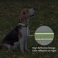 Reflective Dog Collar Padded with Soft Neoprene Breathable Quick Release Basic Dog Collars for Puppy Small Dogs Girl Green