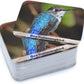 Menique Wild Animals Memory Matching Game – 80 Cards (40 Pairs) with Real Photos – Includes Educational Booklet with Animal Facts – Fun & Cognitive Game for Kids and Adults