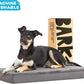 Barkbox Orthopedic Dog Bed with Memory Foam, Premium Comfort for Dogs and Puppies, Dog Beds for Joint Relief and Restful Sleep, Durable and Easy to Clean - Grey, Medium