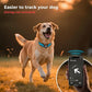 2025 Upgrade Airtag Dog Collar, Reflective Dog Collar with Airtag Holder, IP68 Waterproof| Metal Buckle| Ultra-Durable| Comfortable Padded, GPS Dog Collars for Medium Large Dogs (Blue,M)