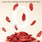 Niteangel Goji Berries Rabbits Snack Treats: 12pcs Natural Chew Toys for Bunny Chinchilla Guinea Pigs and Other Small Animals
