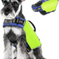 Pawaboo Dog Life Jacket - Reflective Safety Vest with Strong Buoyancy & Rescue Handle, Ripstop Dog Lifesaver for Swimming, Boating - Bright Yellow, S