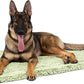 Stoutwool Indestructible Dog Bed - Fluffy Chew Proof Dog Crate Pad - Tough Kennel Pad for Aggressive Chewers - Ideal for Extra Large Breeds & Fits 48-Inch Crate - 47"x29", Gleam