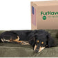 Furhaven Pillow Dog Bed for Medium/Small Dogs w/ Removable Bolsters & Washable Cover - Faux Fur & Velvet Sofa - Dark Sage, Medium