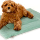 KindTail Dog Crate Pad - Soft Velvet, Reversible Bed - Machine Washable Kennel Mat for Pets up to 25 lbs - Mattress for Cozy Sleeping - 25” x 19” x 1” (Light Green, Medium)