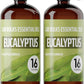 Eucalyptus Essential Oil (2 Pack) for Diffusers, Home Care, Candles, Aromatherapy, 16 oz Bulk Bottle, Eucalyptus Oil Spray