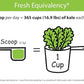 KOYAH - Organic USA Kale Powder (Equivalent to 30 Cups Fresh): Freeze-dried, Whole-Leaf Powder