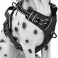 PoyPet No Pull Dog Harness, Reflective Comfortable Vest Harness with Front & Back 2 Leash Attachments and Easy Control Handle Adjustable Soft Padded Pet Vest for Small to Large Dogs (Black,S)