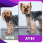 Professional Dog Grooming Scissors Set - 6.5" Thinning, 7" Straight, 7" Up-Curved, 7" Down-curved Scissors and Comb for Dog Cat Pet (Purple)