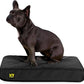K9 Ballistics Tough Rip-Stop Orthopedic Rectangle Dog Bed Removable Washable Cover, Solid Orthopedic Foam for Size S Dogs 24"x18", Obsidian Black