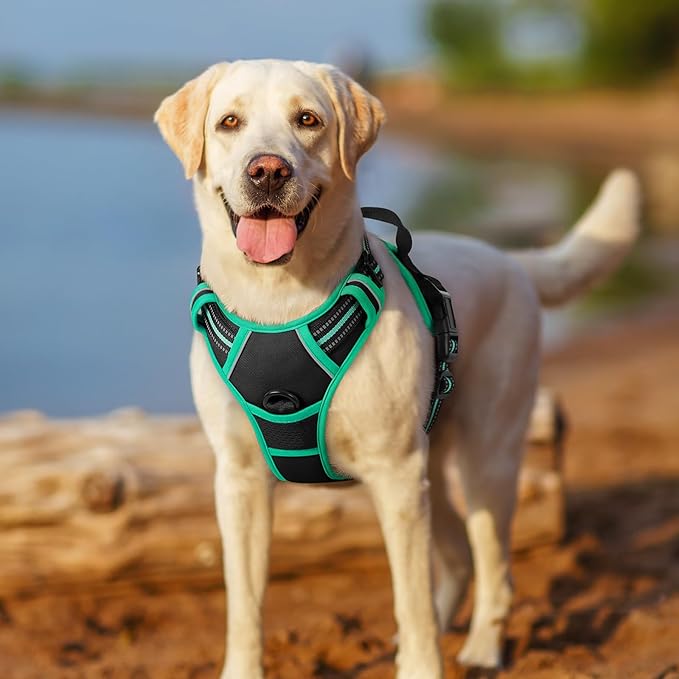 rabbitgoo Dog Harness No Pull with 2 Leash Clips, Adjustable Soft Padded, Reflective Oxford No Choke Pet Vest with Easy Control Handle for Large Dogs, Black & Turquoise, L