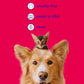 Petsmile Professional Pet Teeth Brushing Kit for Cats & Dogs - Only VOHC Accepted Toothpaste & Patented Toothbrush - Proven to Control Plaque & Tartar Calprox Formula (Rotisserie Chicken, 2.5 Oz)
