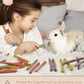 Bissap 72 PCS Rabbit Chew Sticks, Natural Timothy Hay Pumpkin Sugar Beet Carrot Strawberry Rose Dahlberg Daisy Forget-me-not Flower Treat for Bunny Chinchilla Guinea Pig Hamster Small Pet Molar Snack