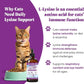 Special Breed L-Lysine for Cats & Kittens – Immune, Respiratory & Eye Health Support – Liquid Cat Supplement with Astragalus, Burdock, Atractylodes, Dangshen & Vitamins A, B1, B2, B6 – 8oz (240mL)