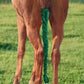 Harrison Howard 3 Tube Stretchy Fabrics Adjustable Closure Lightweight Horse Tail Bag for Horses Braid-in Tail Bag