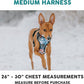 Embark Adventure Dog Harness, Reflective Trim No Pull Dog Harness Medium Sized Dogs - Military Grade Nylon, Front Clip with Gel Lined Handle.