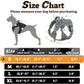 rabbitgoo Dog Harness Small Sized No Pull, Tactical Service Pet Vest with Molle and Control Handle, Adjustable and Reflective Military Harness for Easy Walking and Training, Grey, S