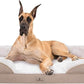 XXL Orthopedic Dog Bed - Washable Dog Sofa Beds for Giant Dogs, Supportive Foam Pet Couch Bed with Removable Washable Cover, Waterproof Lining and Nonskid Bottom