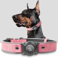 AirTag Dog Collar - Leather Dog Collar with Air Tag Holder | IPX8 Waterproof, Reflective, High - End, Adjustable Soft Padded | Dog GPS Tracker Collars Fit for Medium Large Dogs (Pink, M(12.5"-17.3"))