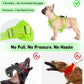 Rechargeable Light Up Dog Harness for Small Dogs – Adjustable LED Dog Vest with Reflective Strips, No Pull Glow in The Dark Puppy Harness for Night Walking Safety-Green