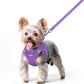 rabbitgoo Dog Harness Small Sized and Leash Set, Step in Soft Light Puppy Vest, Breathable Mesh Pet Harness, Reflective for Safe Outdoor Walking, Purple XS