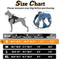 rabbitgoo Dog Harness Small Sized No Pull, Tactical Service Pet Vest with Molle and Control Handle, Adjustable and Reflective Military Harness for Easy Walking and Training, Blue, S