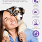 HICC PET Cleaning Deodorizing Wipes for Dogs & Cats, Vet Recommended Nourishes Smoothes Fur Pet Grooming Wipes with Fermented Coconut Oil, Hypoallergenic Plant-Based Dog Wipes for Paws and Butt