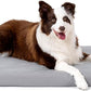 Cybarmour Indestructible Dog Bed - Outdoor Waterproof Chew Proof Dog Crate Pad - Orthopedic Kennel Mat for Aggressive Chewers - Large Breeds & Fits 36-Inch Crate - 35"x22", Limestone