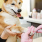 Dog Nail Filer, Professional Nail Grooming Tool, Dog and Cat Nail Files, for Smoothing Rough Edges of Pet’s Nails, Best Nail Filer for Small/Large Dogs & Cats (1 Dog Nail Filer)