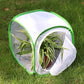 RESTCLOUD Insect and Butterfly Habitat Cage Terrarium Pop-up 12 X 12 X 12 Inches
