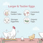 Organic Chicken Feed – Layer Pellet, Non-GMO, USA Grown, 16% Protein, Corn-Free, Soy-Free, Non-Medicated Feed for Chickens, 23 lbs