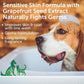 Nootie - Pet Shampoo for Sensitive Skin - Revitalizes Dry Skin & Coat - Natural Ingredients - Gentle Dog Shampoo - Cleans & Conditions