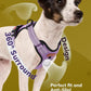 MIDOG No-Pull Dog Harness | Adjustable & Reflective Pet Harness Leash Set for Small Medium Large Dogs Walking, Training| No Choke, Front Clip, Soft Padded Vest with Easy Control Handle - Purple, M