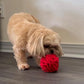 Puppy and Small Breed Snuffle Interactive Foraging Dog Puzzle Ball Toy Red with Crinkle