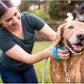 Aquapaw Dog Bath Brush Pro & Dog Shower Attachment - Large Silicone Rubber - Sprayer & Scrubber in One with 8ft Hose Attachment & Shower Wand for Bathing - Pet Bath Supplies