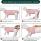 Kuoser Dog Surgery Suit Female Spay, Dog Recovery Suit Male Neuter, Puppy Clothes Onesie for Surgery Anti Licking Abdominal Wounds Pet Surgical Recovery Bodysuit Shirt, Substitute E-Collar & Cone