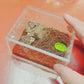 Insect breeding Box Reptile Feeding Box, Waterproof Enclosure Enclosure for arboreal Tarantula Scorpion Sling Lizards Snake Gecko Jumping Spider Snail Isopods (3.9 * 3.3 * 2.3inch)