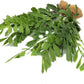 JIHAQUA Lifelike Reptile Tank Plant Decor - Realistic Artificial Plastic Plant for Terrariums and Pet Enclosures (Style D 2 Pack)