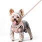 rabbitgoo Dog Harness Small Sized and Leash Set, Step in Soft Light Puppy Vest, Breathable Mesh Pet Harness, Reflective for Safe Outdoor Walking, Pink XS