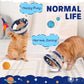 Breathable Air Mesh Cat Cone Collar Soft - Adjustable Recovery Collar to Stop Licking After Surgery, Foldable Lightweight E-Collar for Cats & Kittens (Sky Star, S)