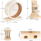 antiai 4 Pack Hamster Wheel Set,8.2Inch Medium Size Slience Quiet Spinner Hamster Running Wheels,Hamster Water Feeder Accessories Chew Toys for Guinea Pig,Gerbils,Mice and Other Small Pets Animal